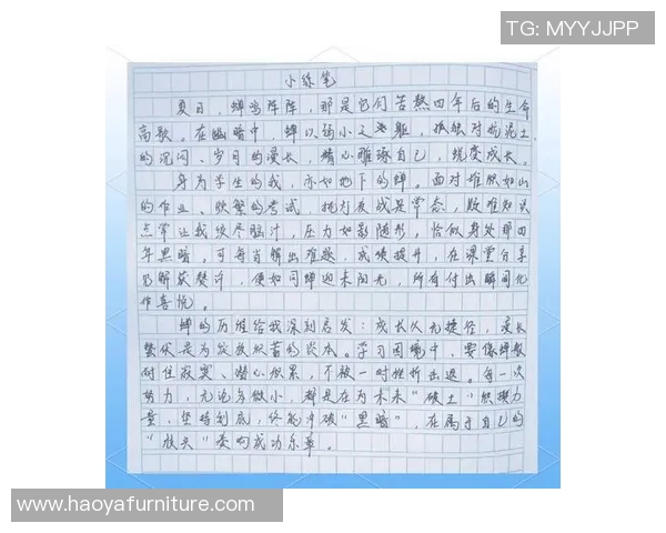 深度对话杨强：从排球场到人生舞台的奋斗与成长之路