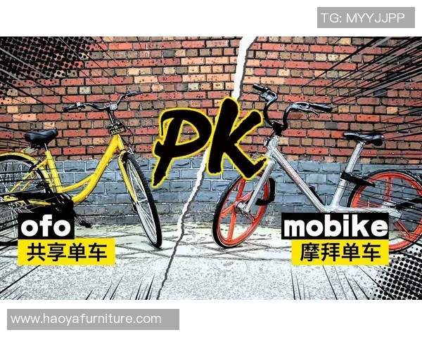 上海排球队阵地战创新探索助力竞技水平提升与战术变革