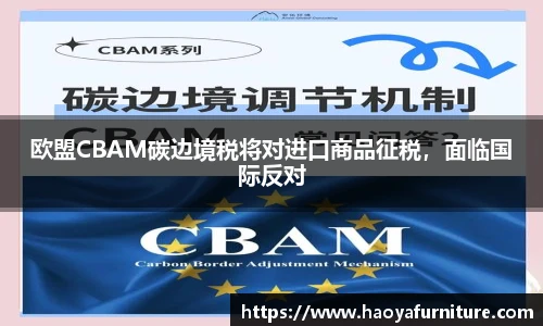 欧盟CBAM碳边境税将对进口商品征税，面临国际反对