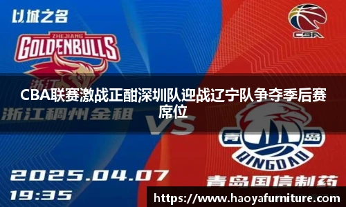 CBA联赛激战正酣深圳队迎战辽宁队争夺季后赛席位